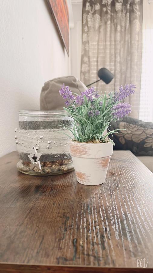 Apartamento Calipso Plus 萨洛 外观 照片